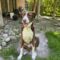 Rigo (Rigoberto)