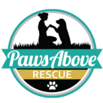 Paws Above Rescue