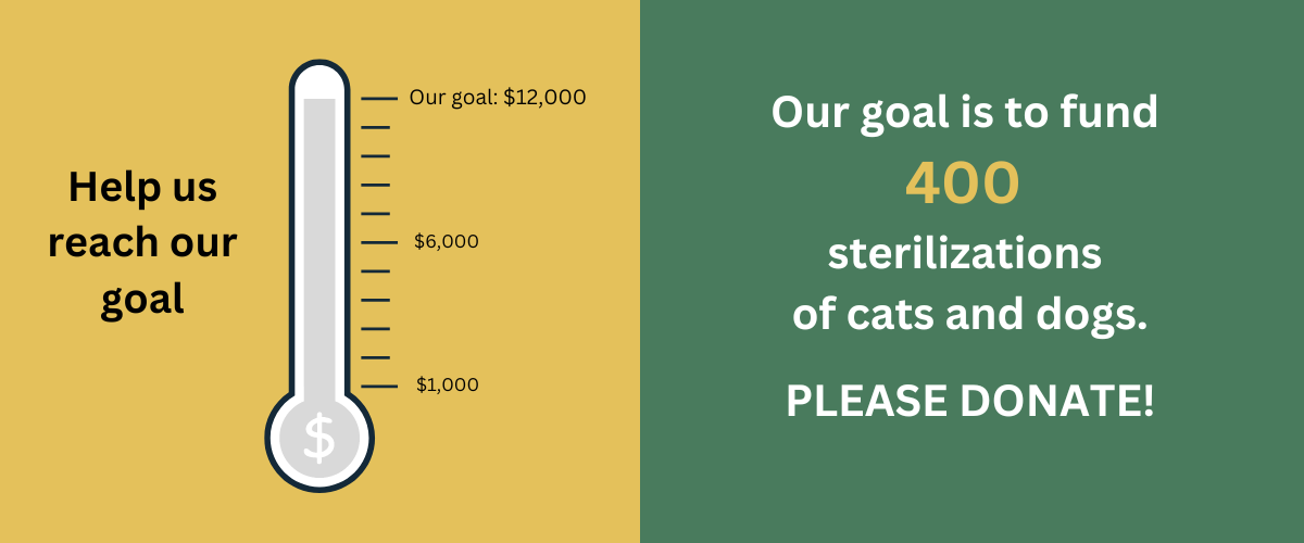 Our goal $12,000 (1200 x 500 px) launch