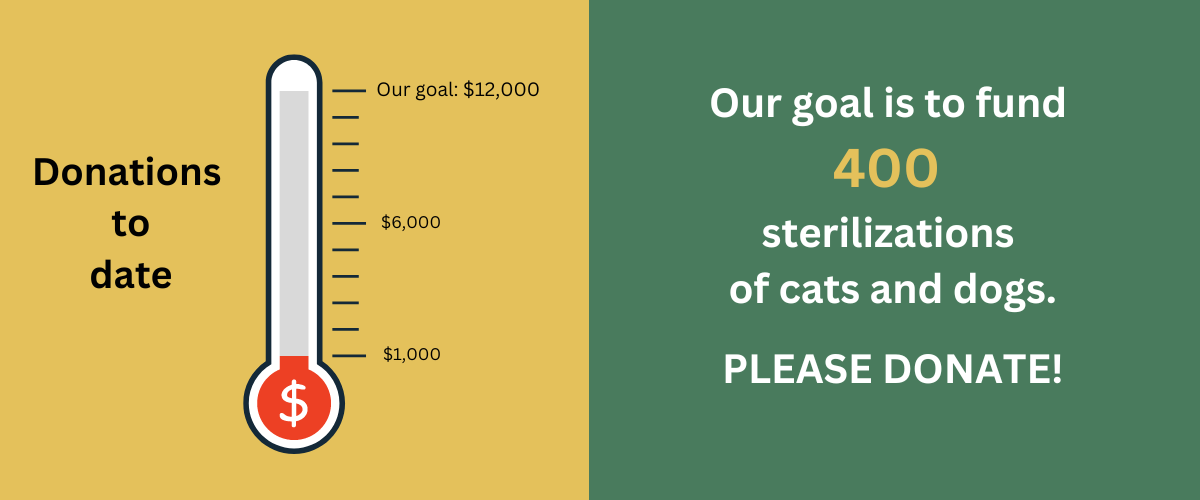 spay & neuter $1,000 milestone