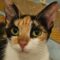Minerva (Minnie)